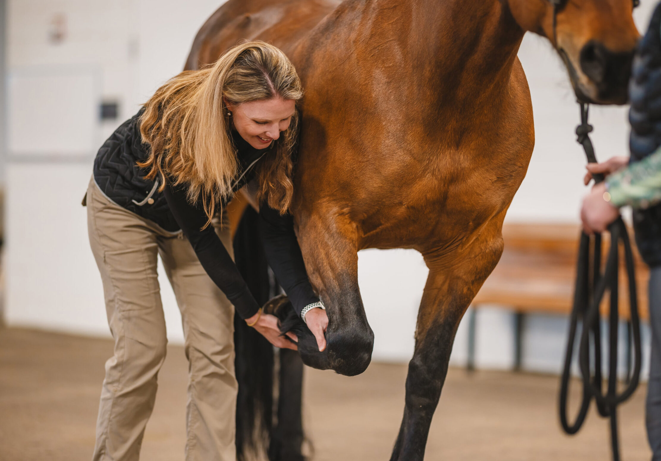 CSU Veterinary Health System