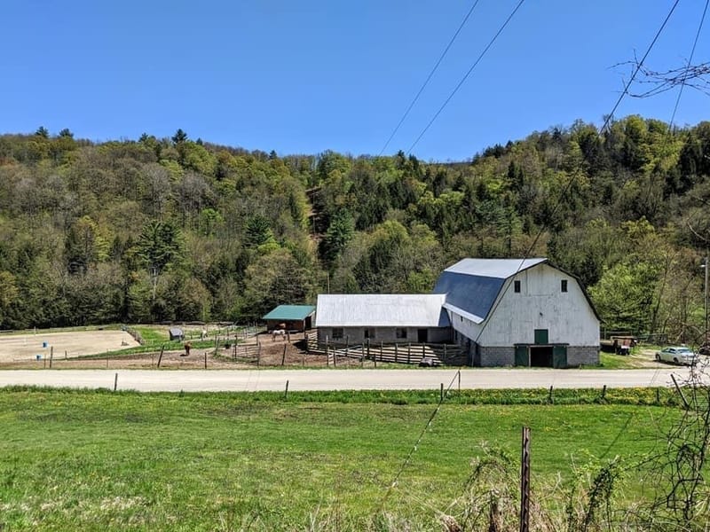 New Moon Ranch