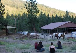 Oregon School of Natural Hoof Care