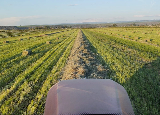 H3 Farms LLC