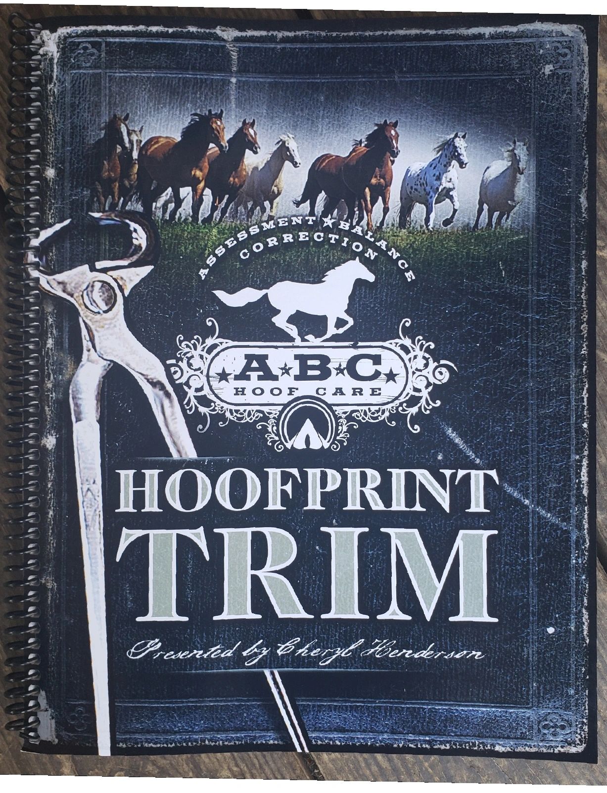 ABC Hoof Care