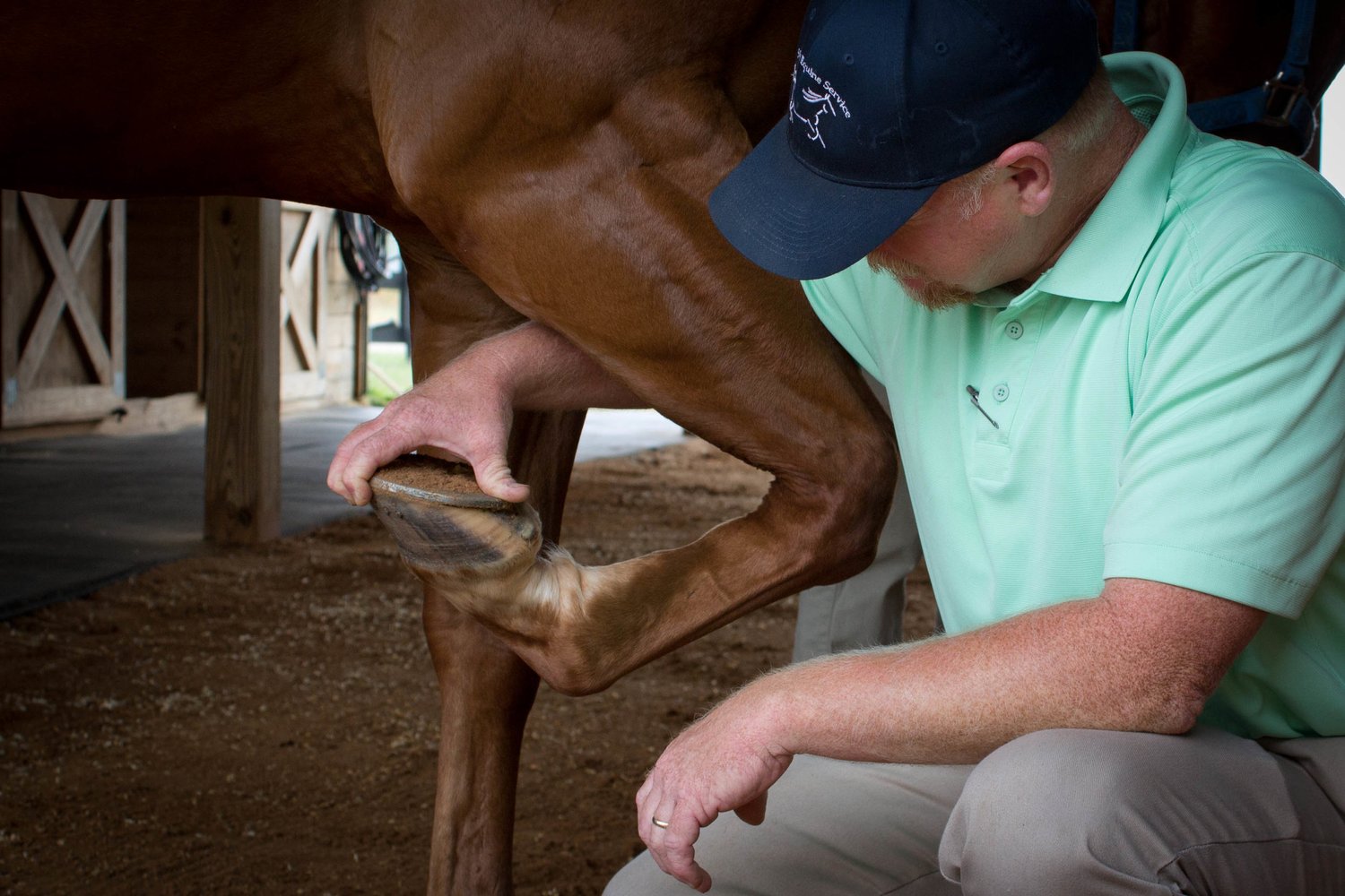 Southern Equine Service