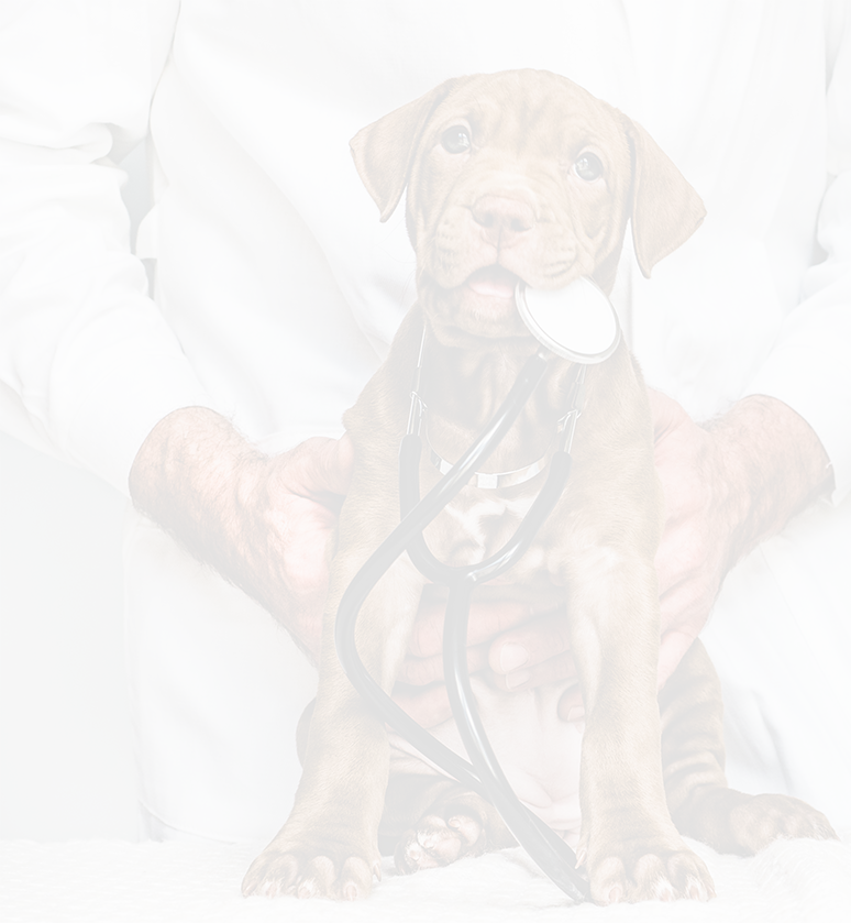 Southcentral Veterinary Services