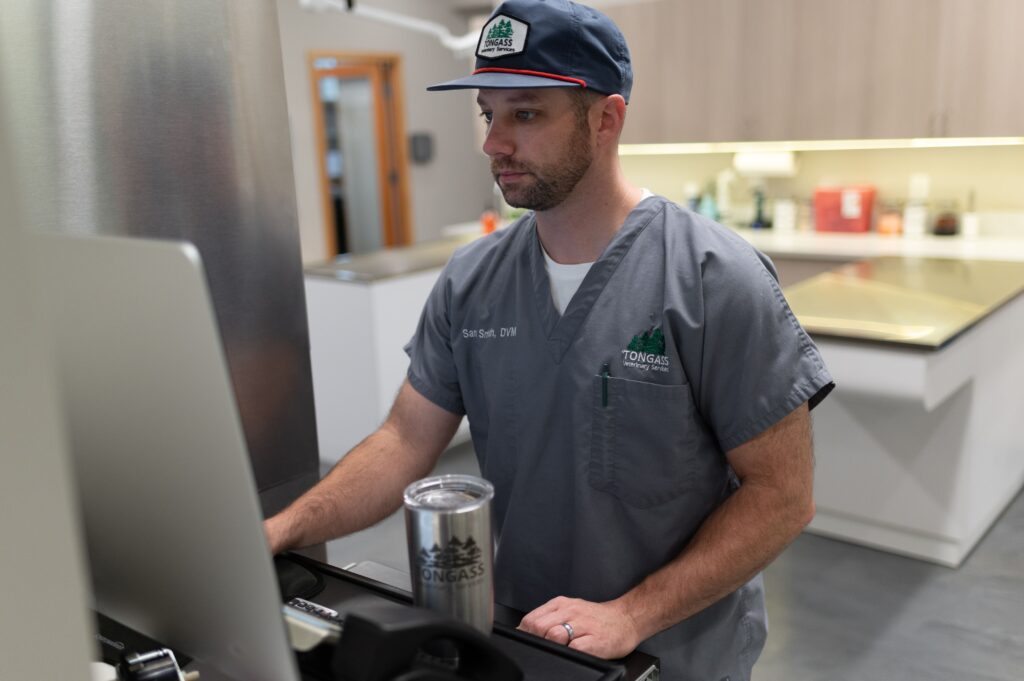 Tongass Veterinary Services