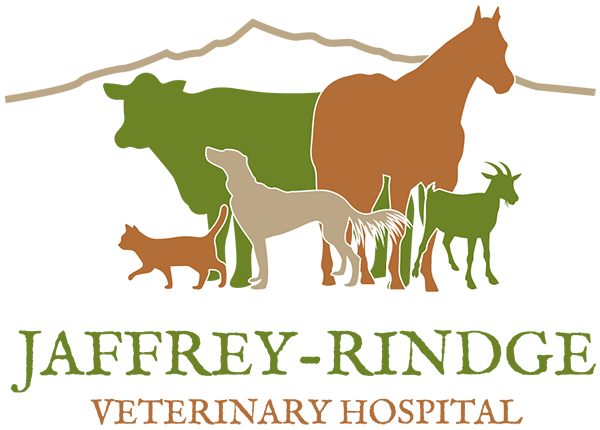 Jaffrey-Rindge Veterinary Hospital