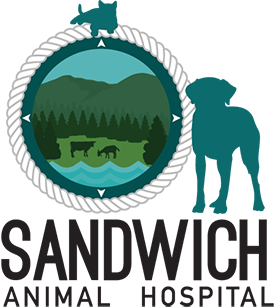 Sandwich Animal Hospital