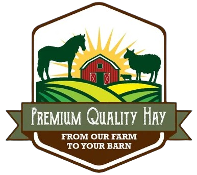 Premium Quality Hay