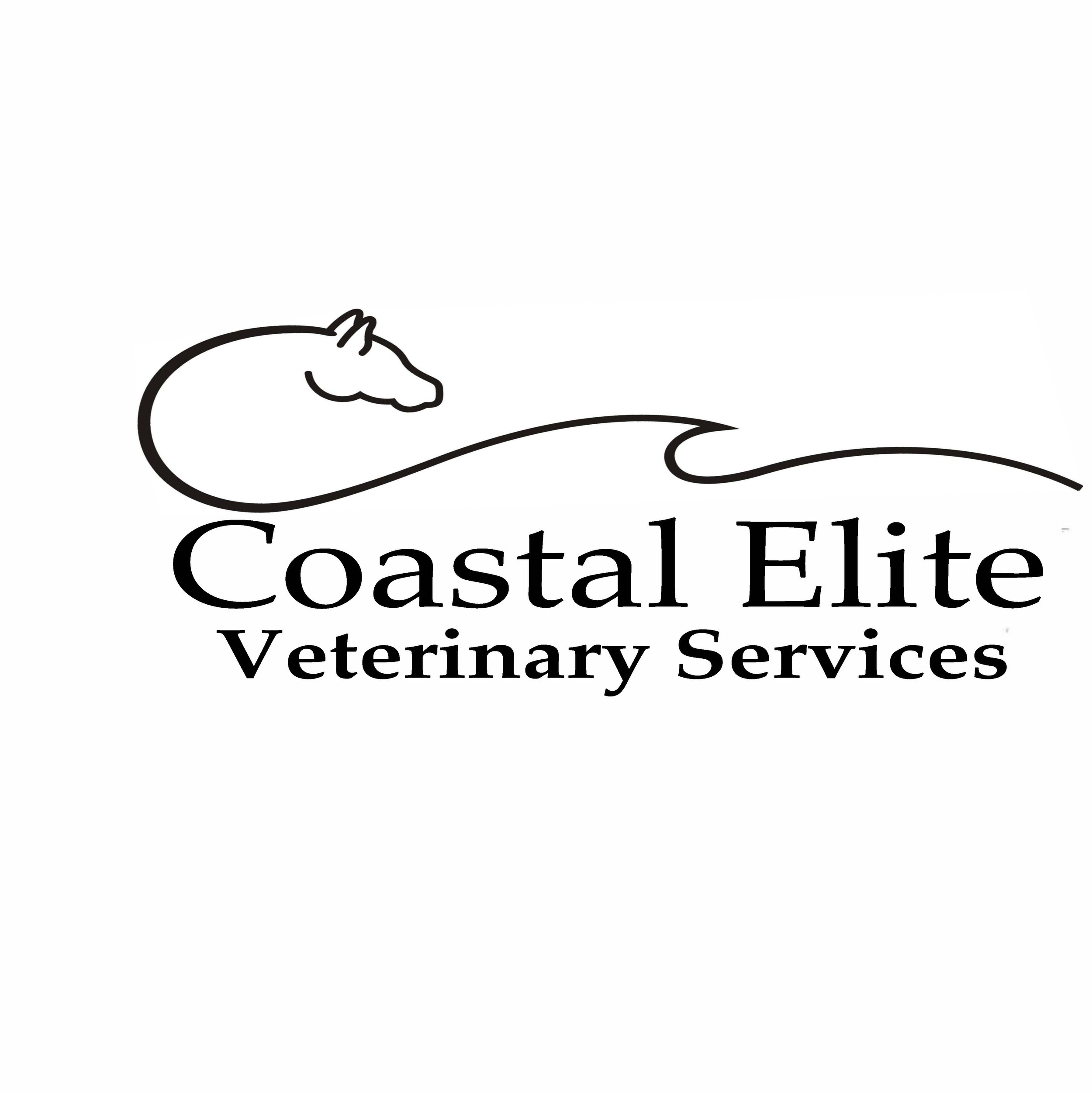 Coastal Elite Vet