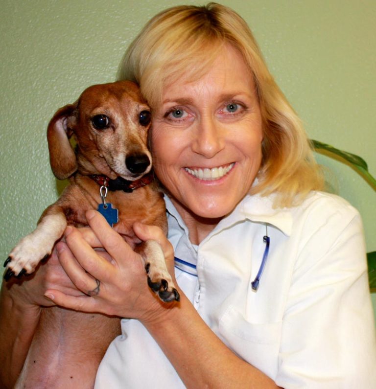 Animal House Veterinary Hospital