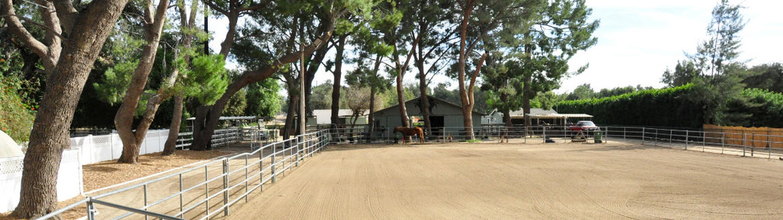 Farralone Farms Horse Rescue