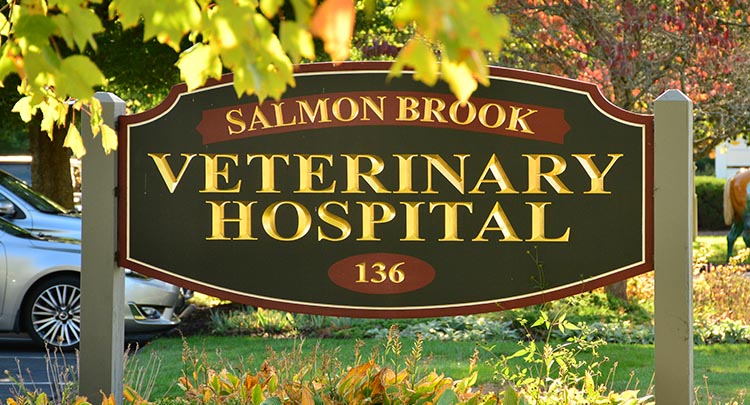 Salmon Brook Veterinary Hospital