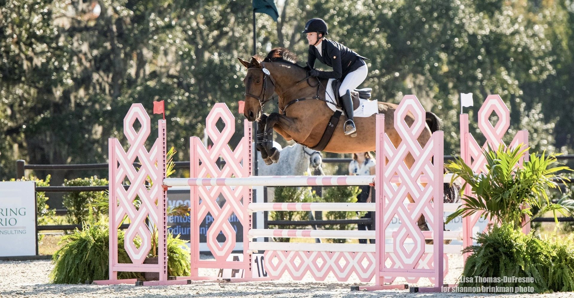 Pippa Moon Training & Sales
