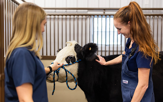 Fenton River Veterinary Hospital