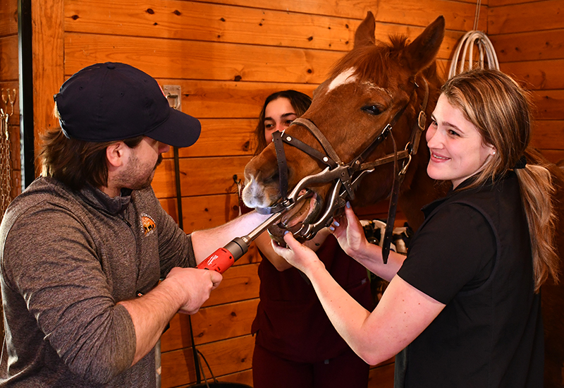Stafford Veterinary Center
