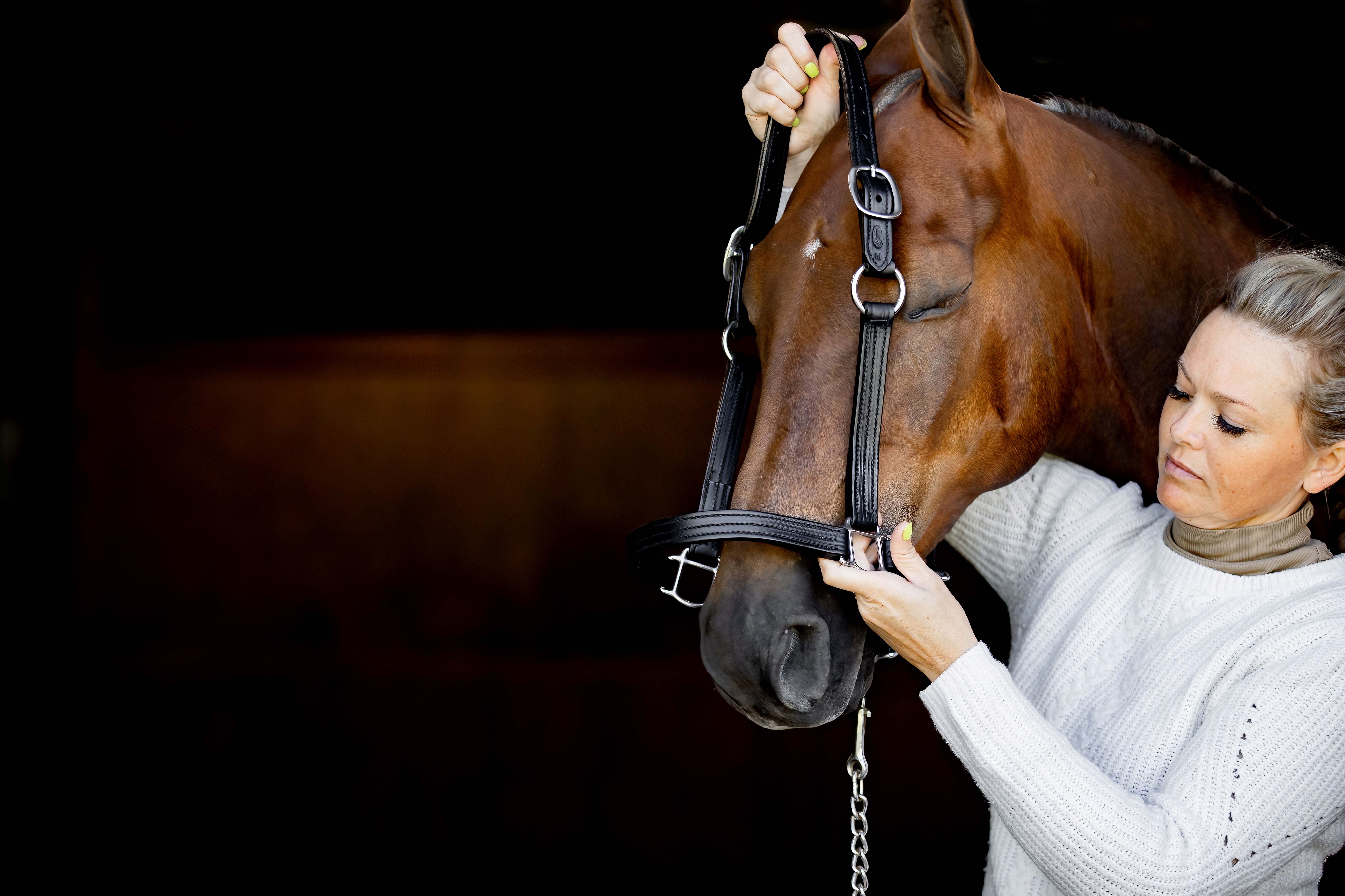 Shelby Horse Supply