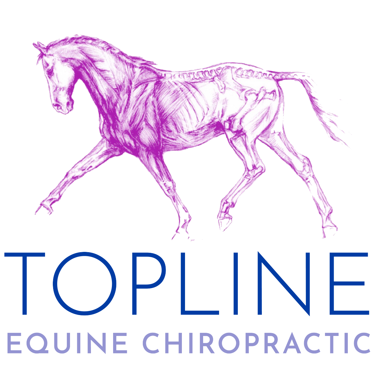 Topline Equine Chiropractic LLC