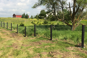 Behrends Fencing