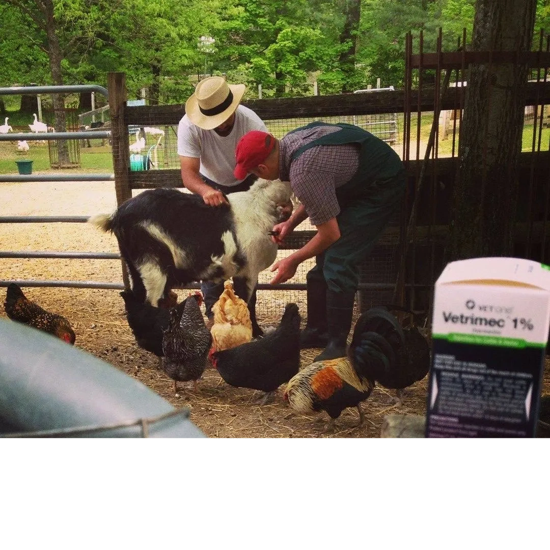 Bentley Veterinary Practice