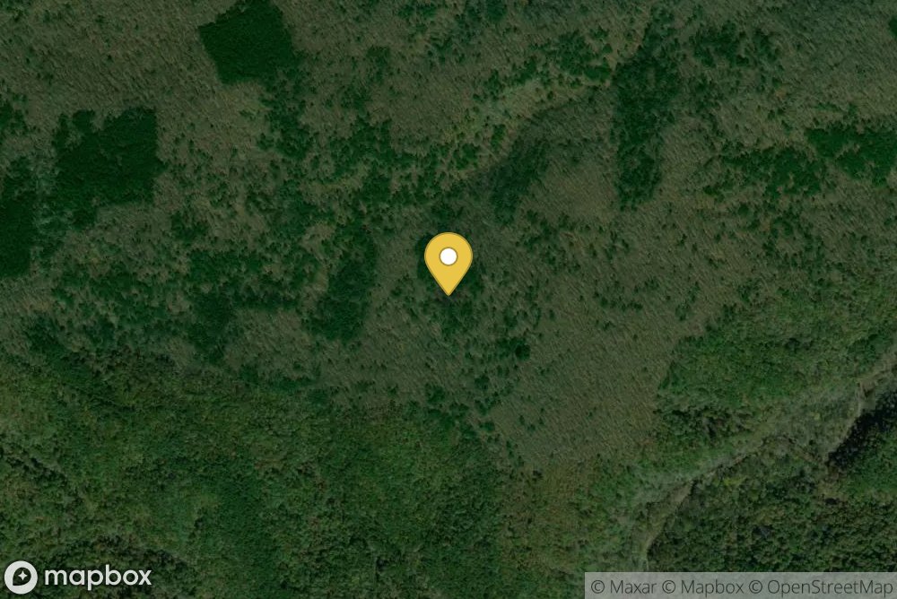 Paddy Creek Wilderness