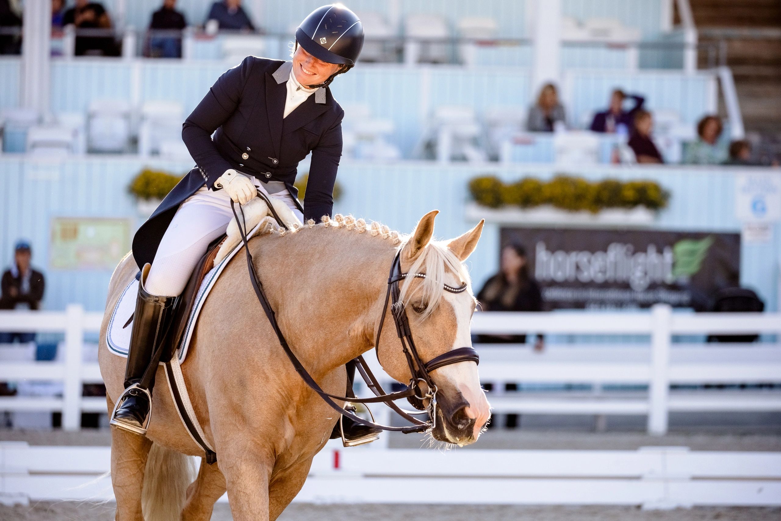 Dynamic Dressage