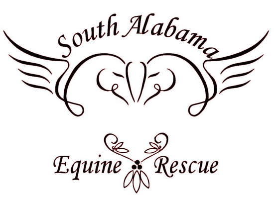 South Alabama Equine Rescue & Rehabilitation