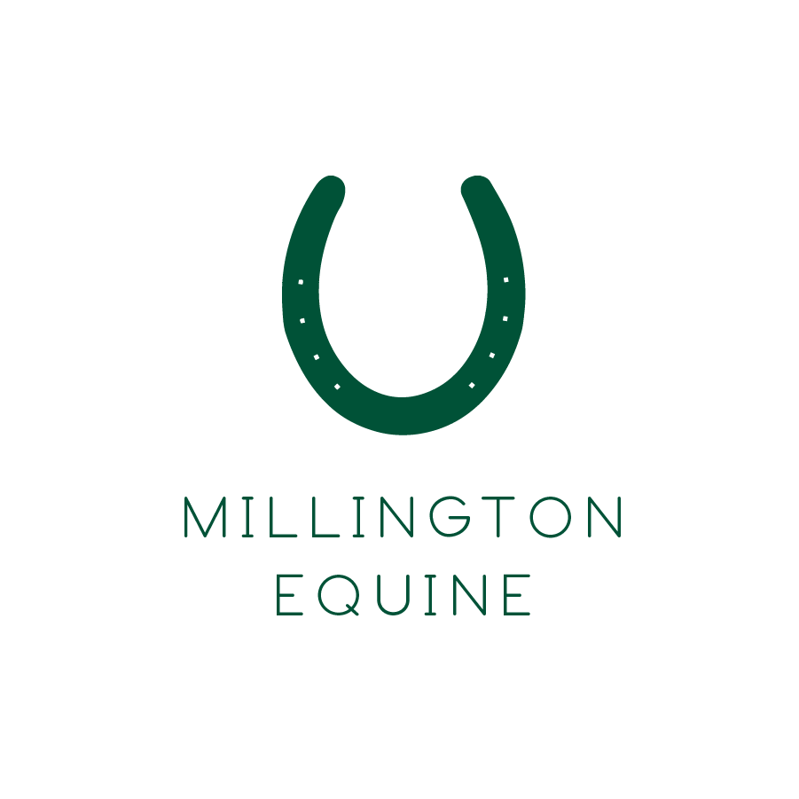Millington Equine