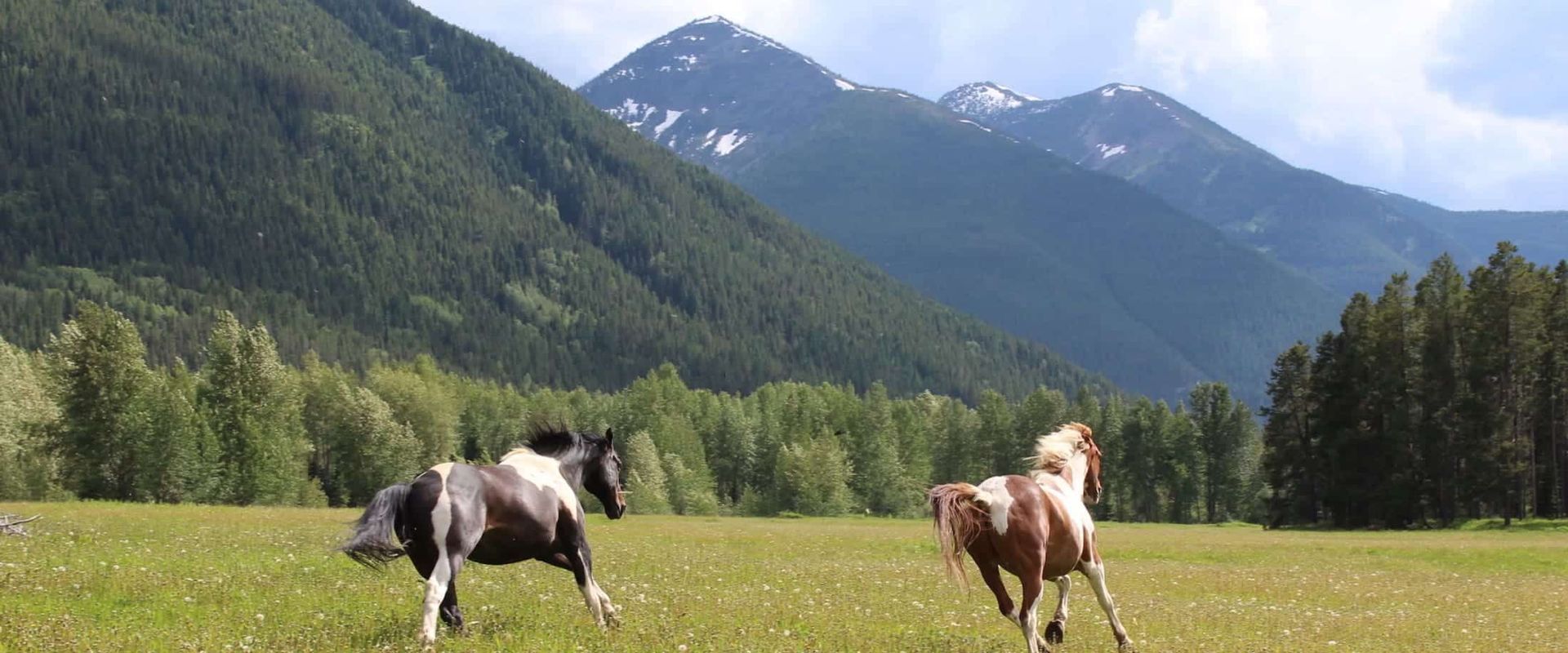Bear Creek Guest Ranch
