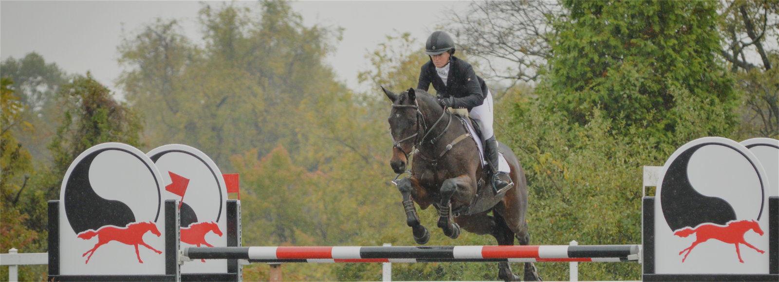 Equine Veterinary Care
