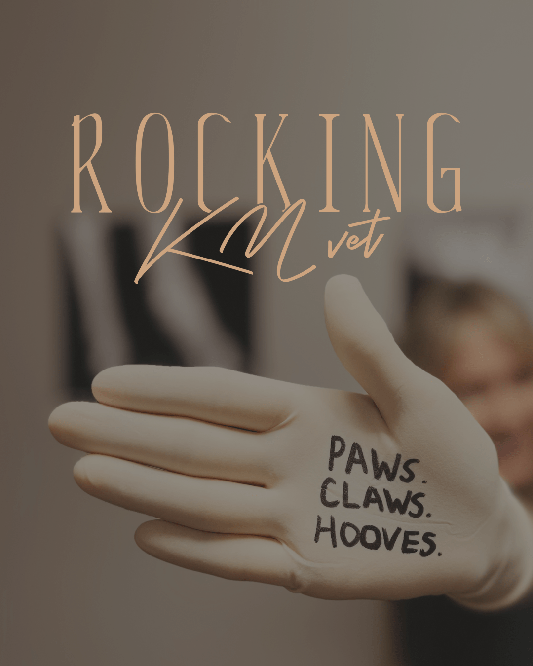 Rocking KM Veterinary Service