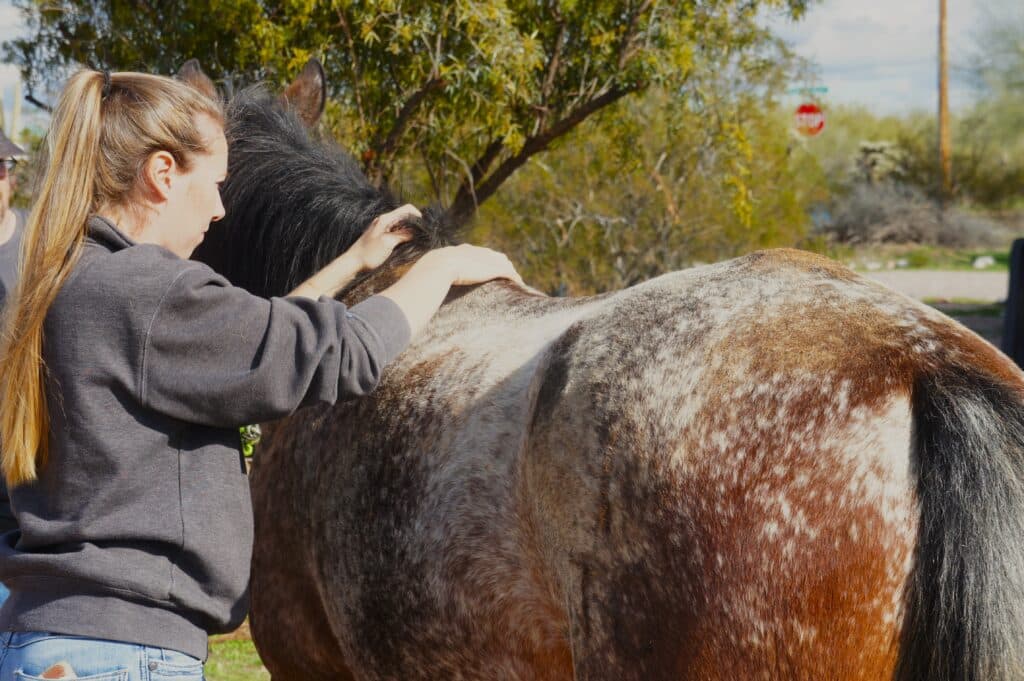 Herd Health Management