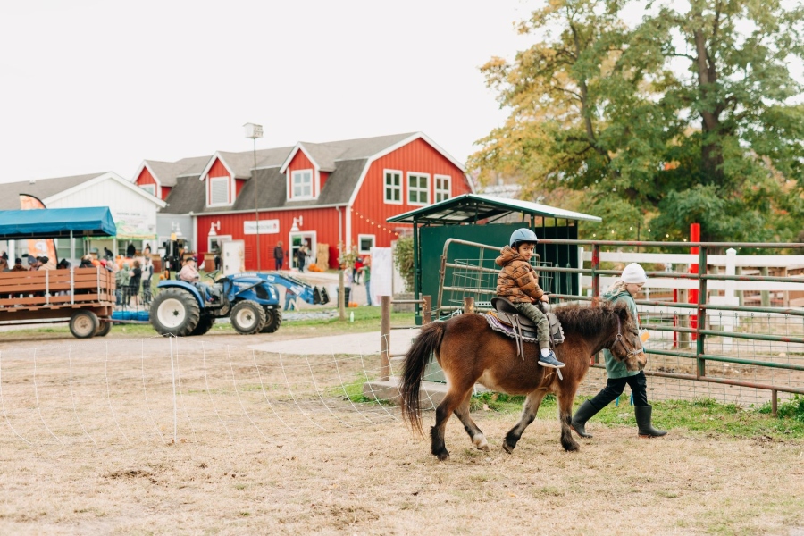 Cedar Ridge Equestrian Center