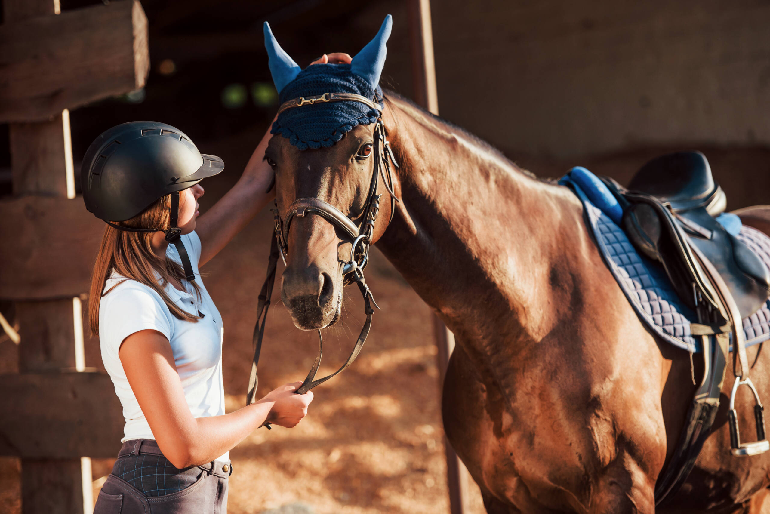 Tryon Equine Bodywork