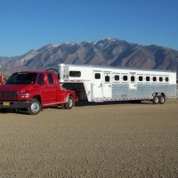 Beeline Horse Transportation
