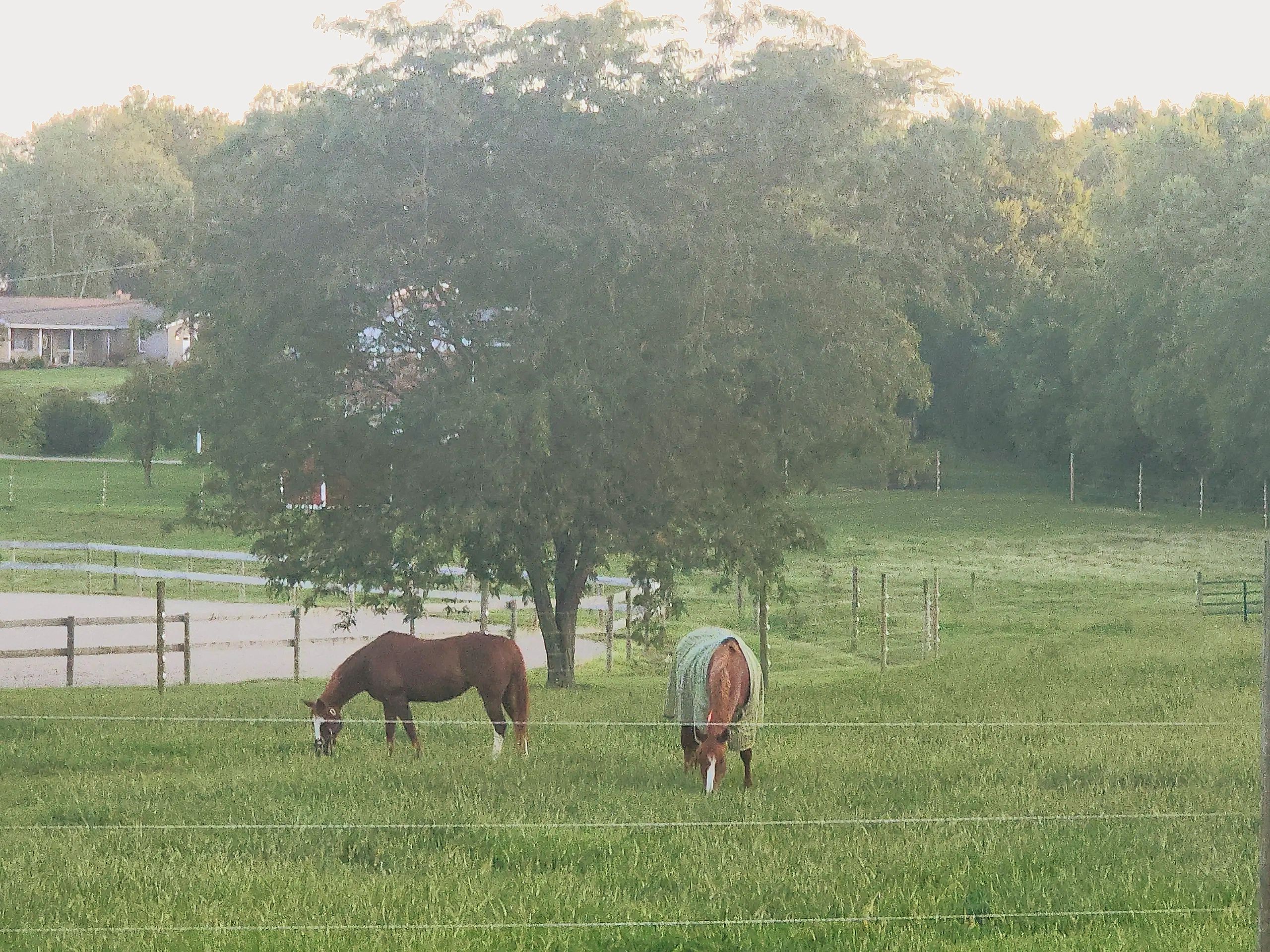 Cross Creek Equestrian Center