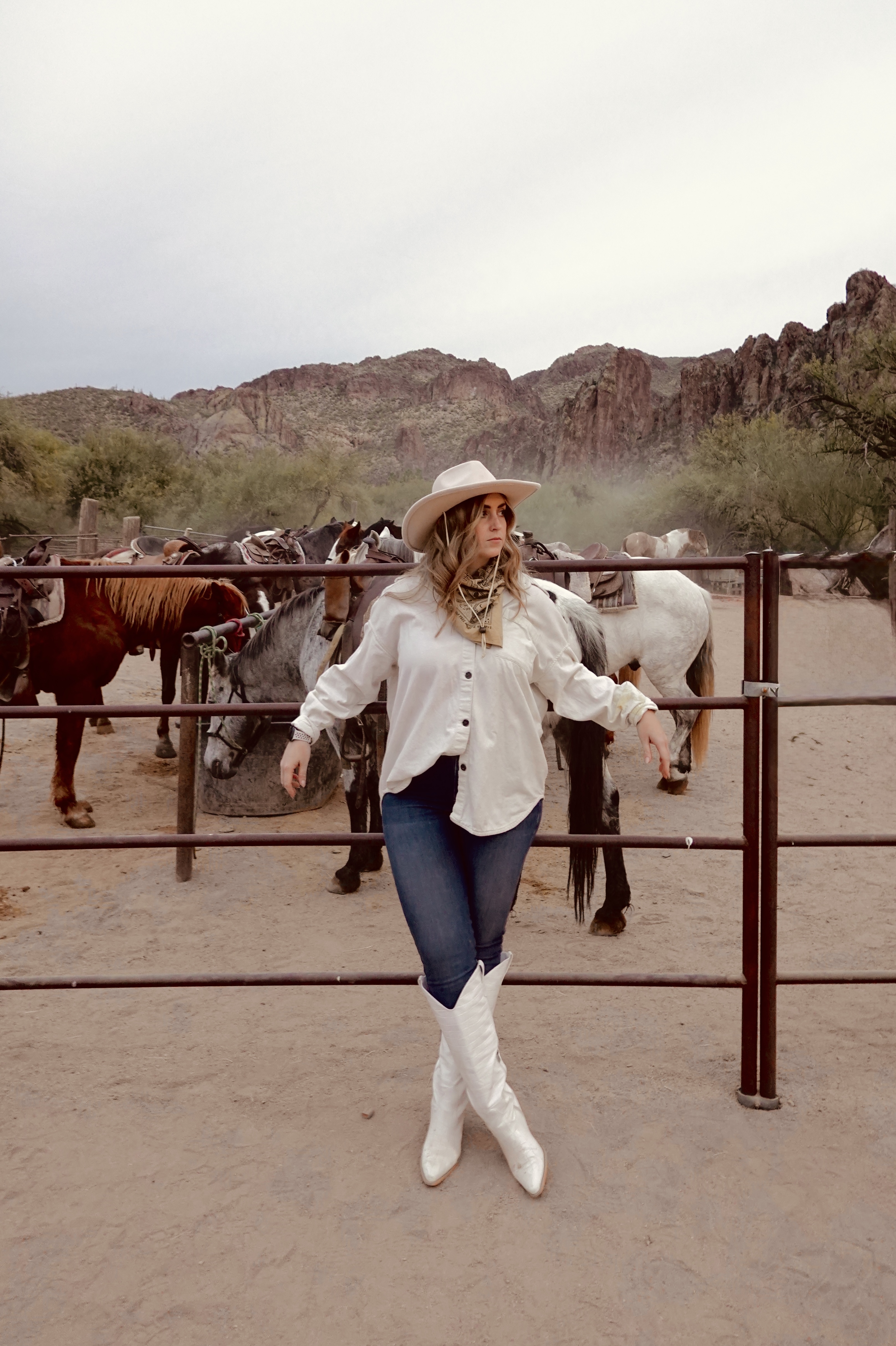 Saguaro Lake Ranch Stables
