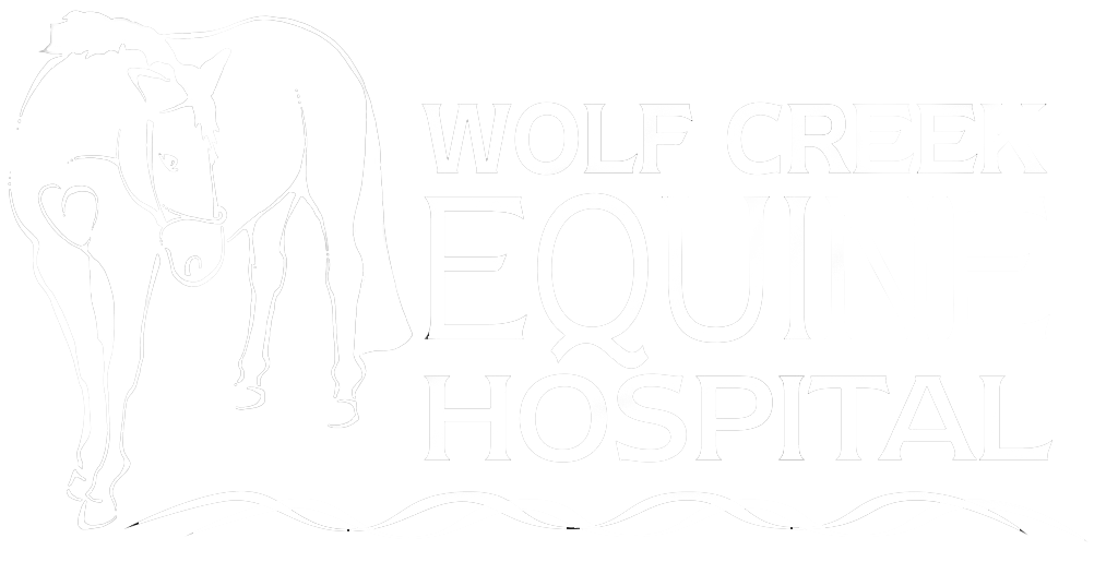 WOLF CREEK EQUINE HOSPITAL