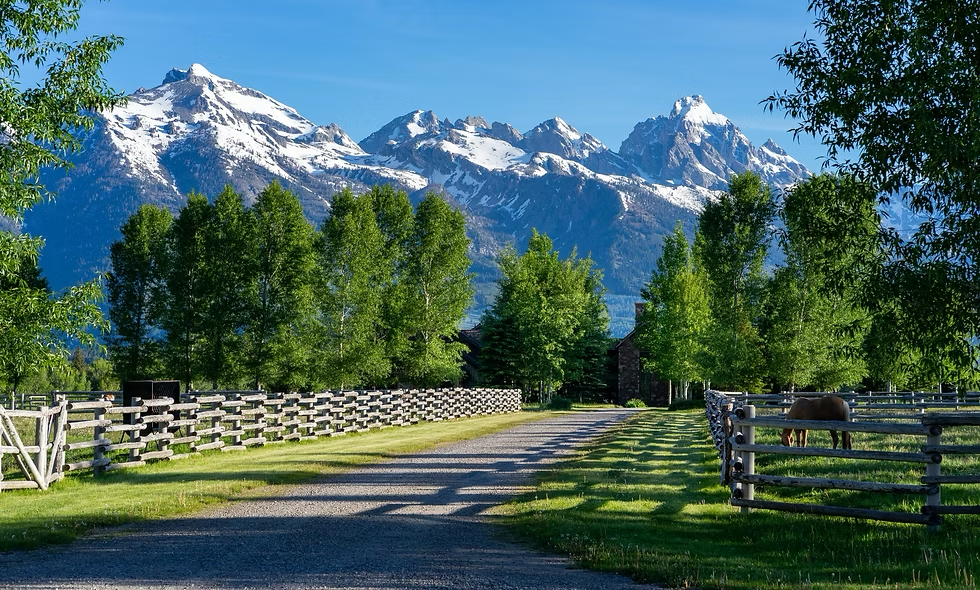 Jackson Hole Horse Rescue