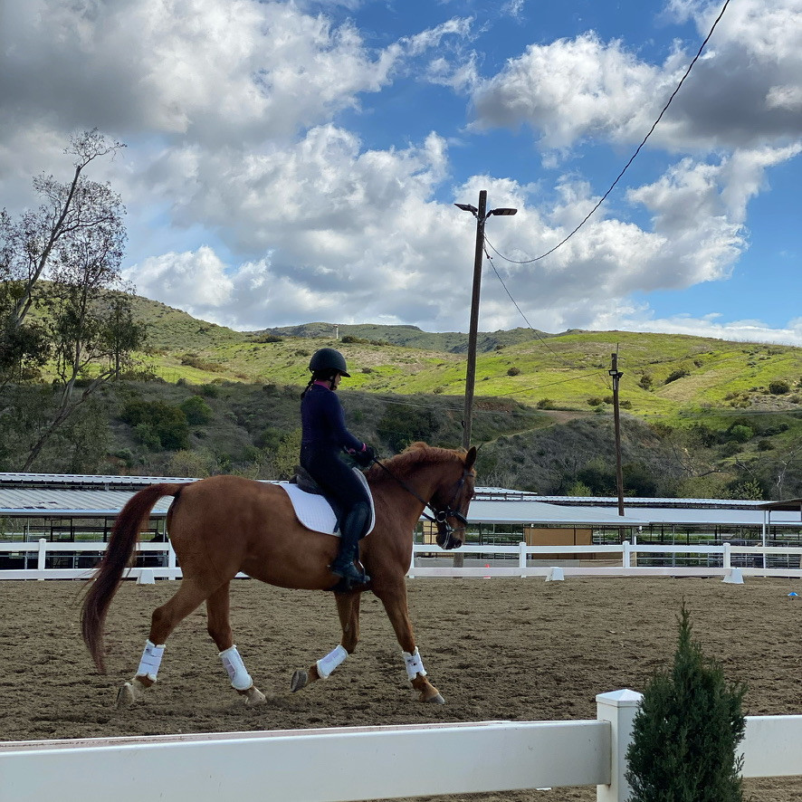 Peacock Hill Equestrian Center