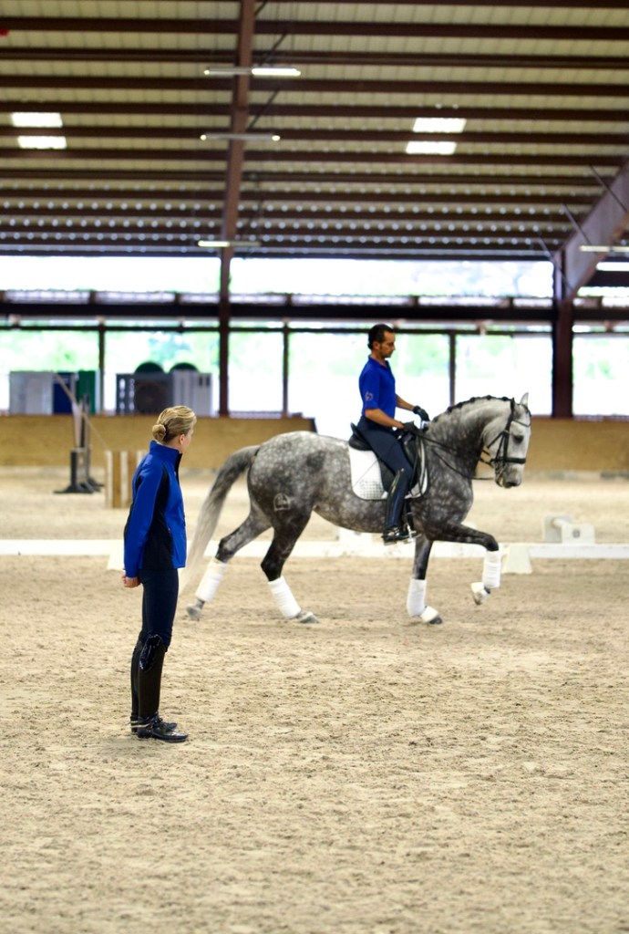 Haras Dos Cavaleiros Training Center