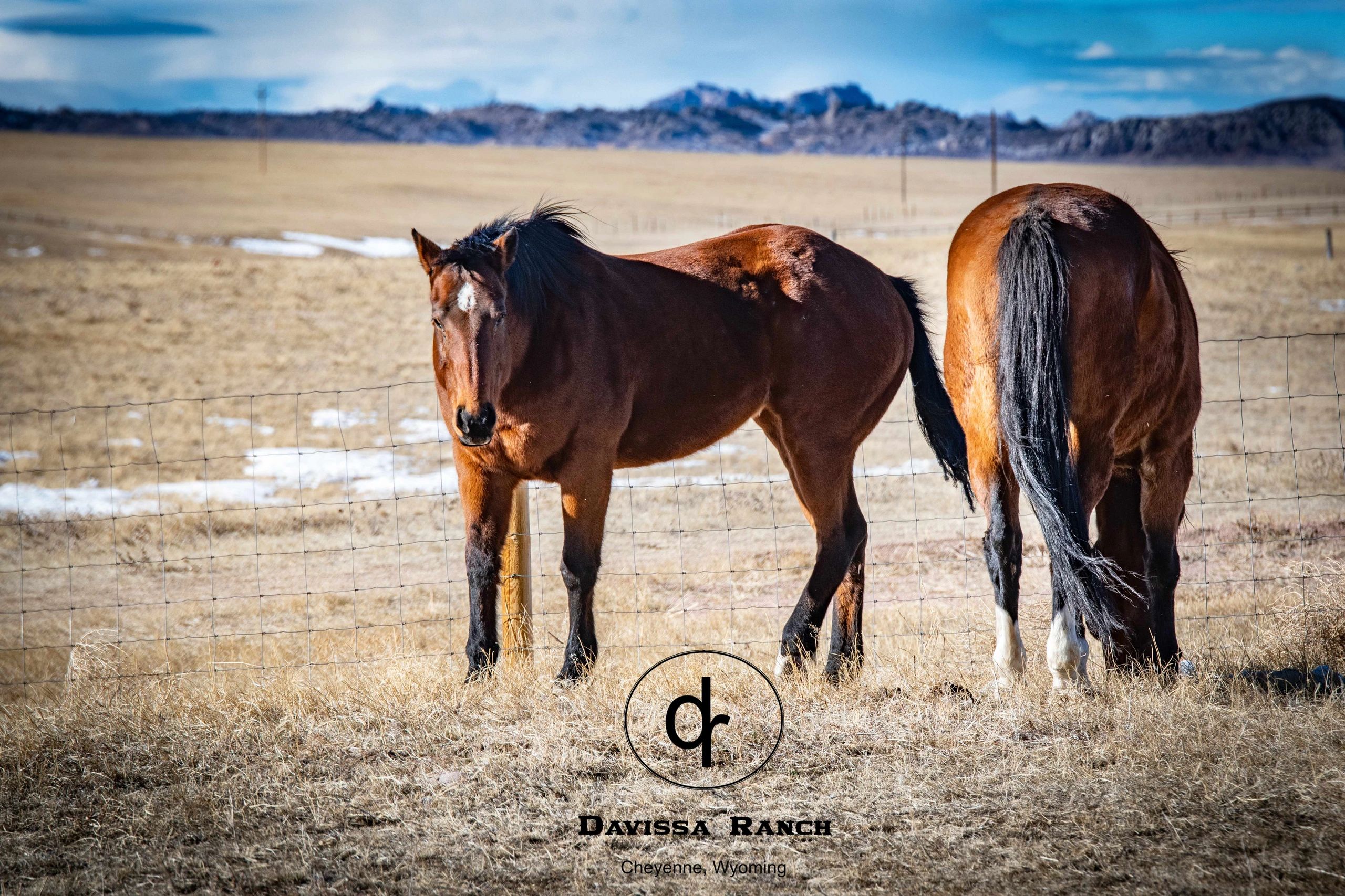 The Davissa Ranch