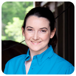 Palmetto Chiropractic