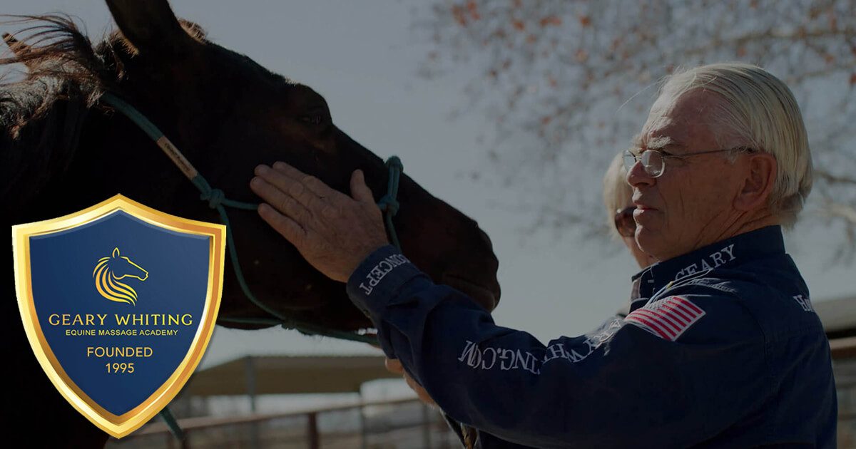 Geary Whiting's Equine Massage Academy