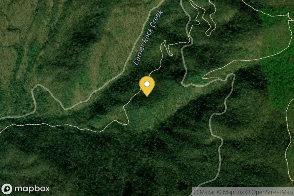 Pisgah National Forest