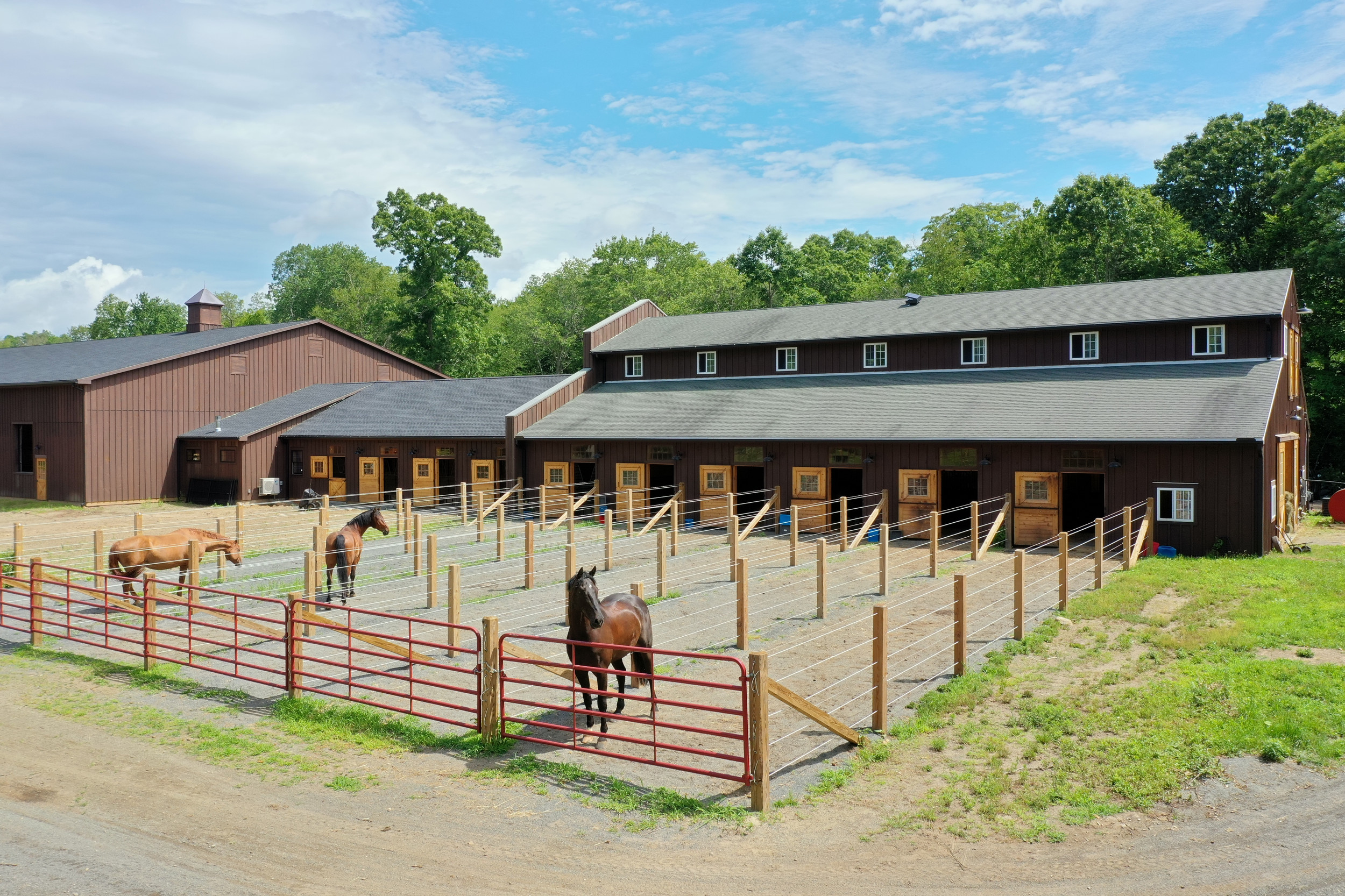Blue Dog Farm