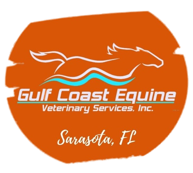 Gulf Coast Equine Veterinary Services