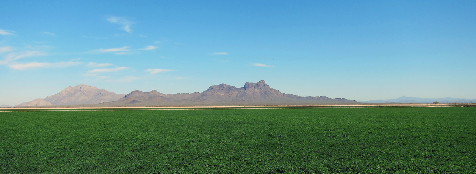 Sierra Farming Hay Sales