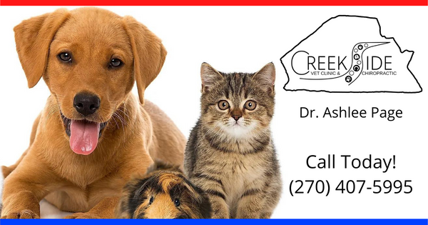 Creekside Veterinary Clinic