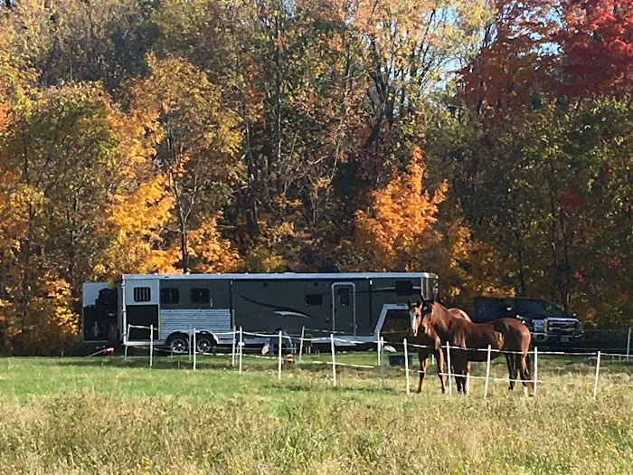 Lone Mountain Riverfront Campground