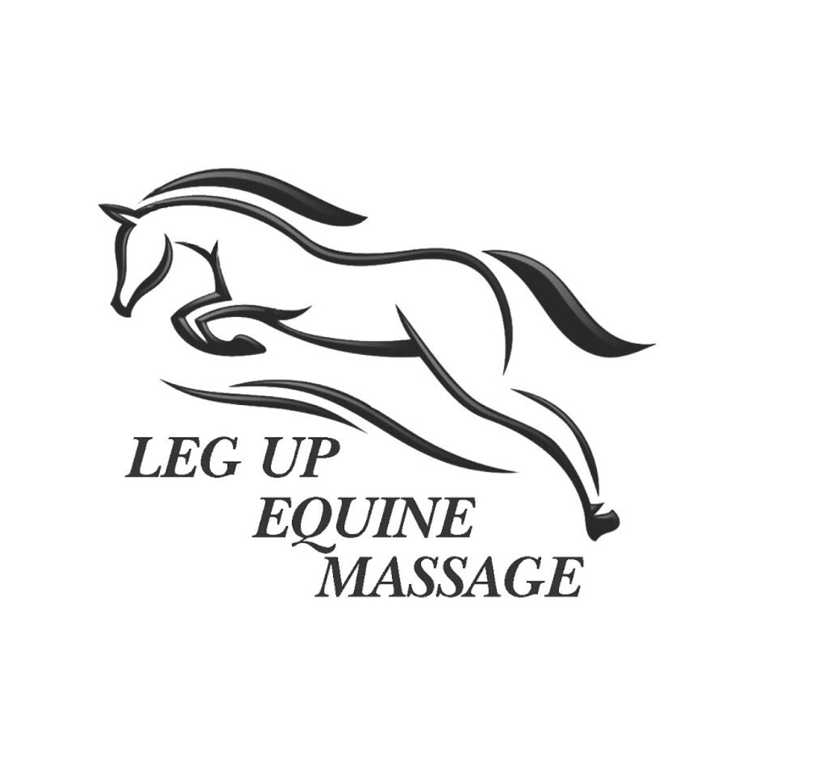 Leg Up Equine Massage