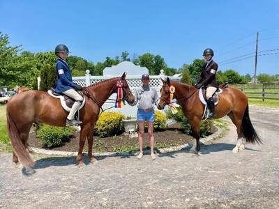 HM SportHorses